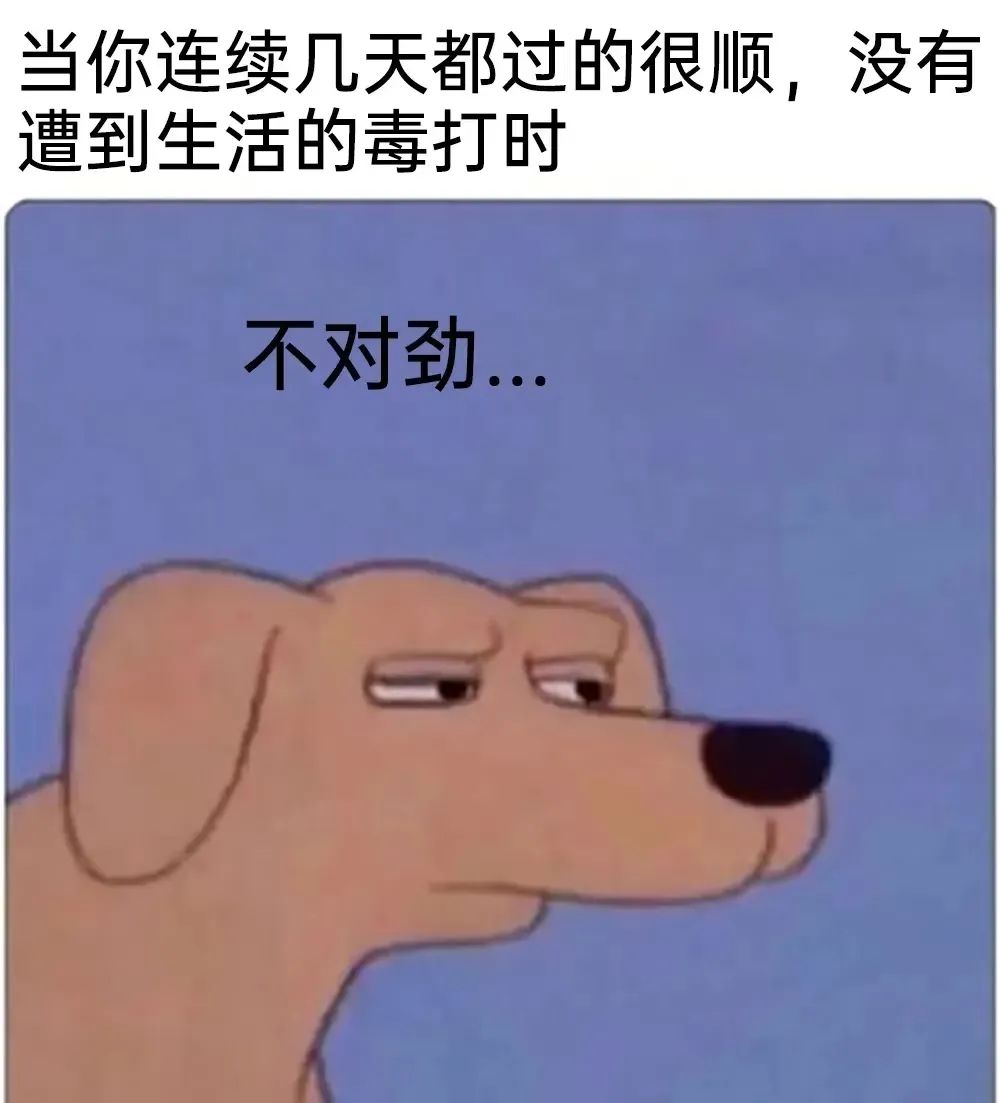 字母圈你都被哪些匪夷所思的道具SP过？